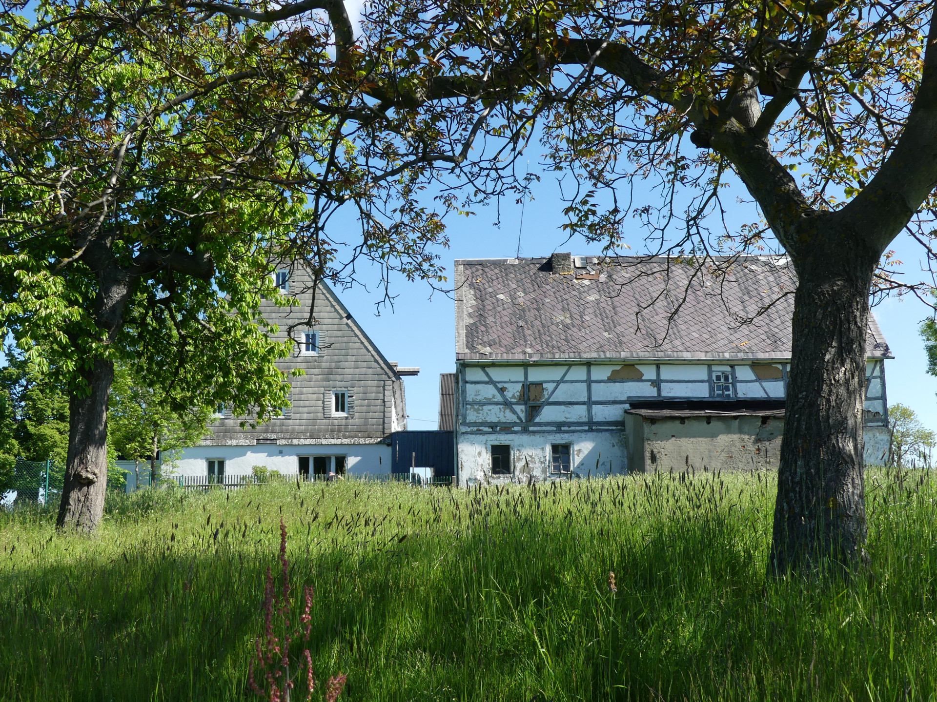 Haus in Massanei
