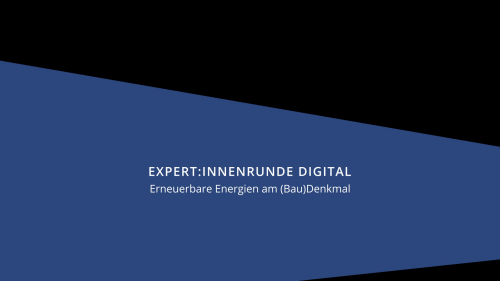 Digitale Expertinnenrunde im Denkmalschutz